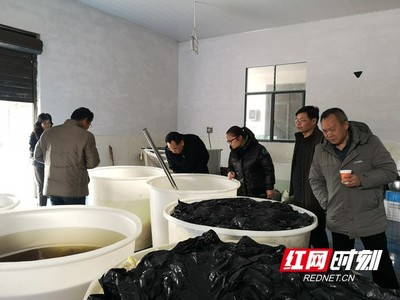 國家特色蔬菜產(chǎn)業(yè)技術體系專家赴鳳凰縣調研指導辣椒加工產(chǎn)業(yè)發(fā)展